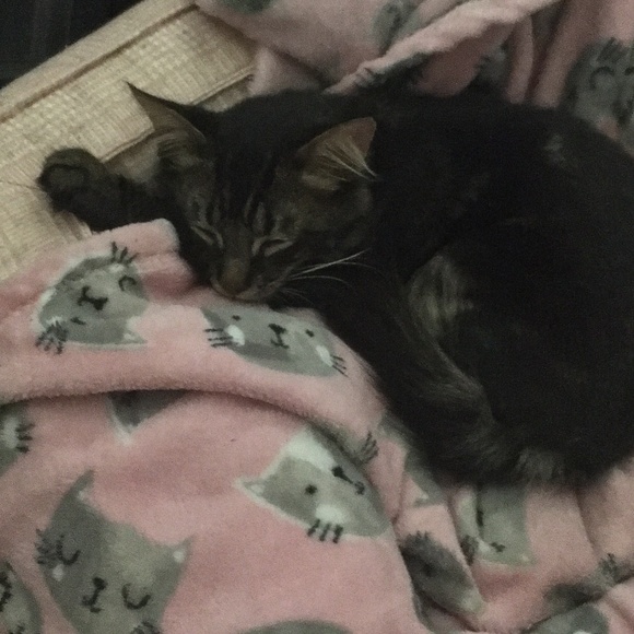 ISO <3 - Picture 2 of 2